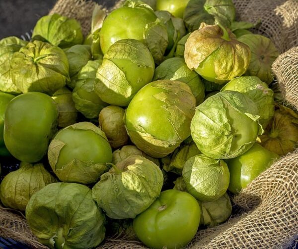 Physalis ixocarpa Tomatillo Green - Afbeelding 2