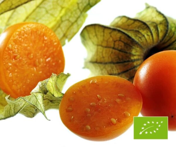 Physalis peruviana Schönbrunner Gold BIO