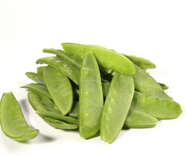Pisum sativum (Sugar pea) Hendriks BIO - Afbeelding 2