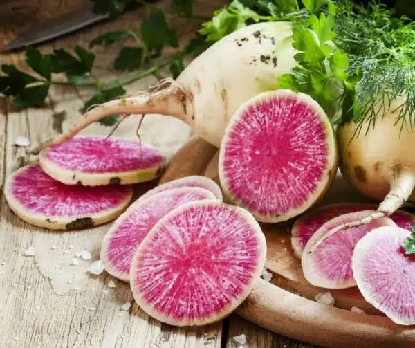 Raphanus sativus (Rettich) Rotes Fleisch