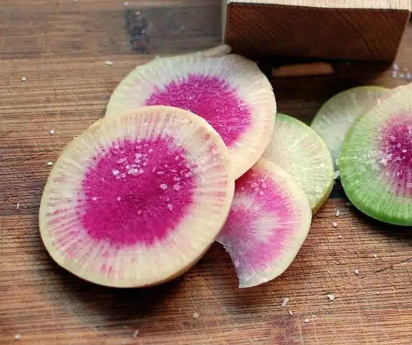 Raphanus sativus (Rettich) Rotes Fleisch - Bild 2
