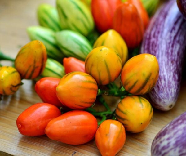 Паласатая тога Solanum melongena - выява 2