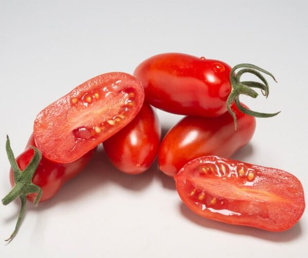 Tomato (Solanum lycopersicum) Amirou F1
