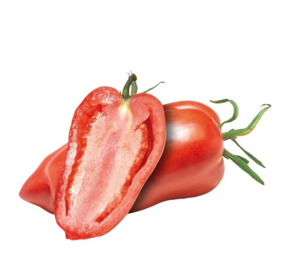 Tomato (Solanum lycopersicum) Andenhorn sel. Anca - Afbeelding 2