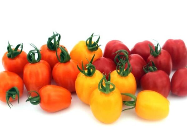 Tomato (Solanum lycopersicum) Appleberry Yellow PhR F1 - Afbeelding 3