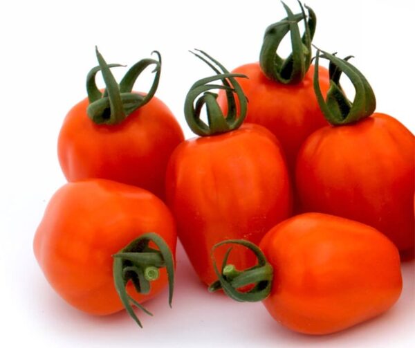 Tomato (Solanum lycopersicum) Appleberry Orange PhR F1