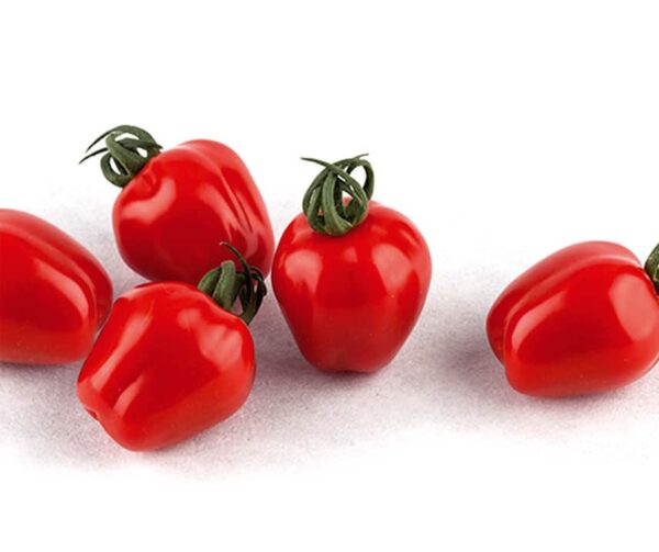 Tomato (Solanum lycopersicum) Appleberry Red PhR F1