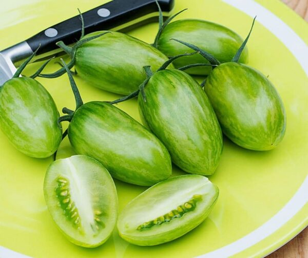 Tomate (Solanum lycopersicum) Artisan Green Tiger