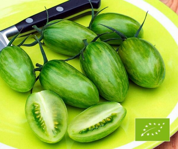 Tomato (Solanum lycopersicum) Artisan Green Tiger BIO