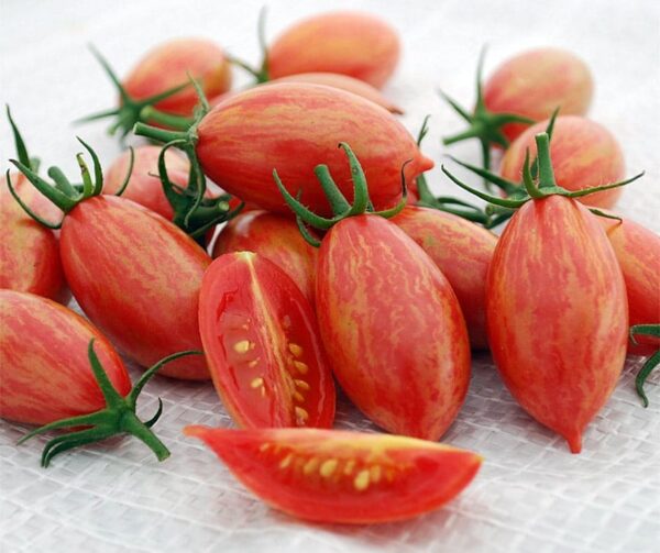 Tomato (Solanum lycopersicum) Artisan Pink Tiger
