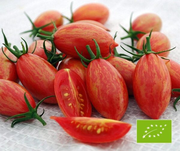 Tomato (Solanum lycopersicum) Artisan Pink Tiger BIO