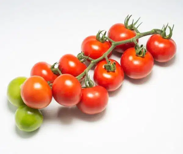 Tomate (Solanum lycopersicum) Bauna PhR F1 - Image 2