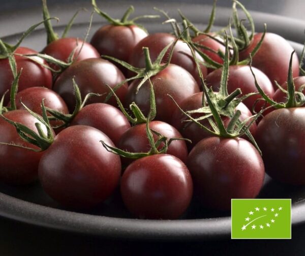 Tomato (Solanum lycopersicum) Black Cherry BIO