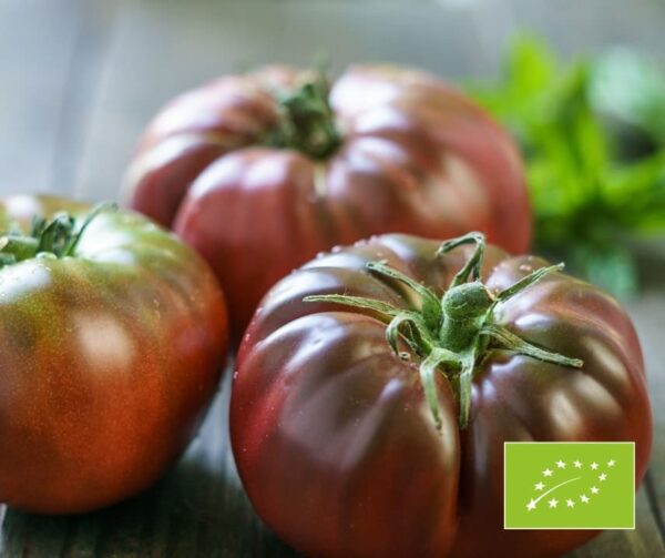 Tomato (Solanum lycopersicum) Black Krim BIO