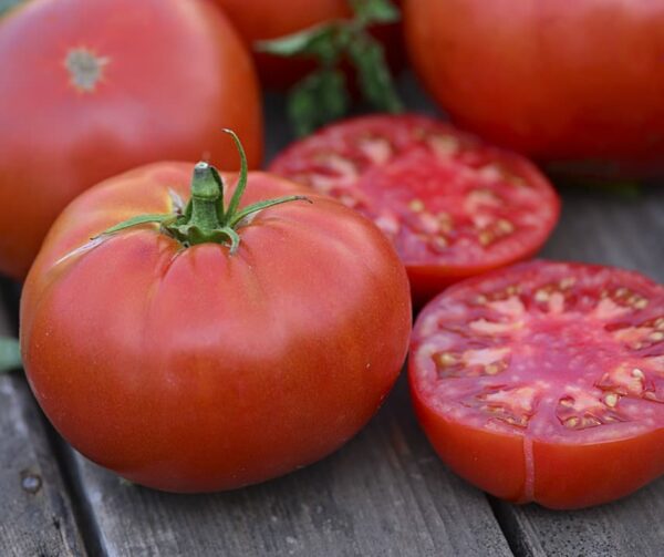 Tomato (Solanum lycopersicum) Bountiful F1