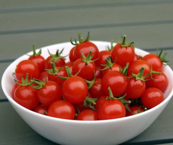 Pomodoro (Solanum lycopersicum) Cherry Cascade - Immagine 4