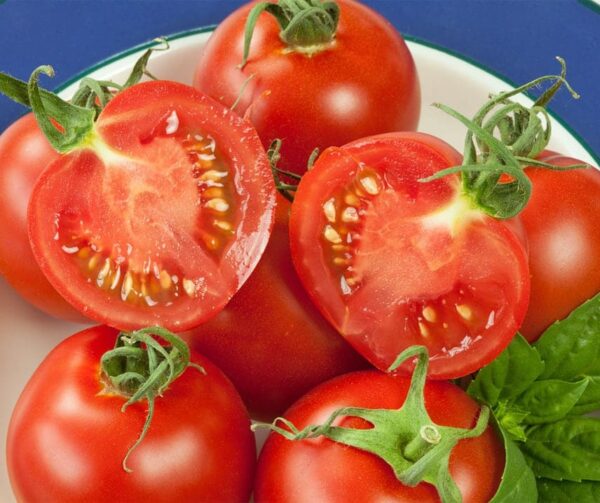 Tomato (Solanum lycopersicum) Cocktail Crush PhR F1 - Afbeelding 2