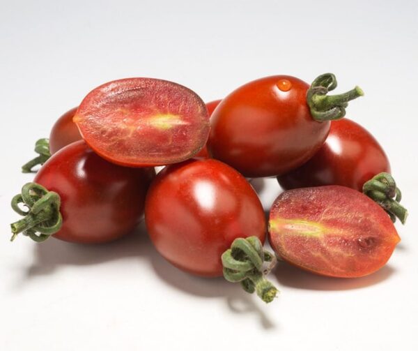Tomate (Solanum lycopersicum) Dattochoco F1