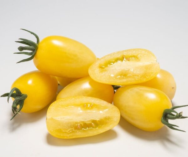 Tomate (Solanum lycopersicum) Dattolime F1