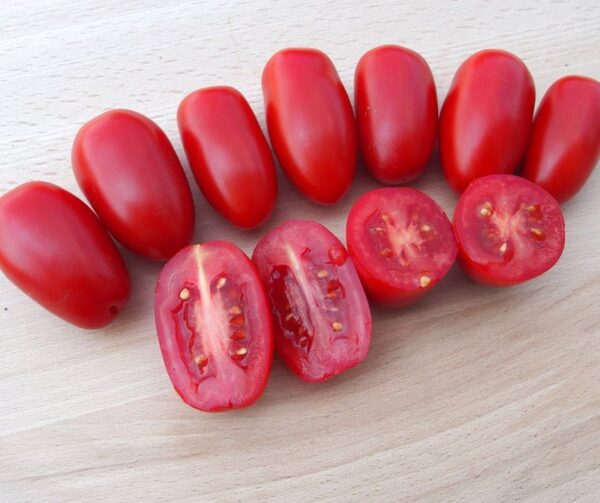 Tomate (Solanum lycopersicum) Delikano F1 - Imagen 2