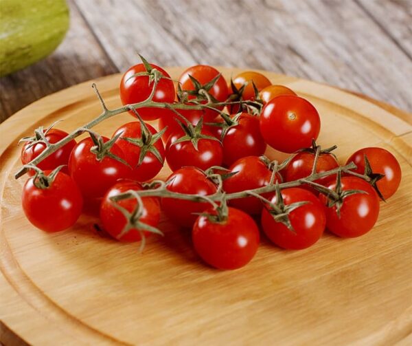 Tomato (Solanum lycopersicum) Gardeners Delight