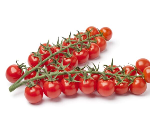 Tomate (Solanum lycopersicum) Gourmelito F1 - Imagen 2