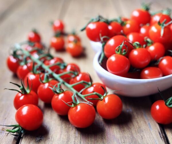Tomate (Solanum lycopersicum) Gourmelito F1