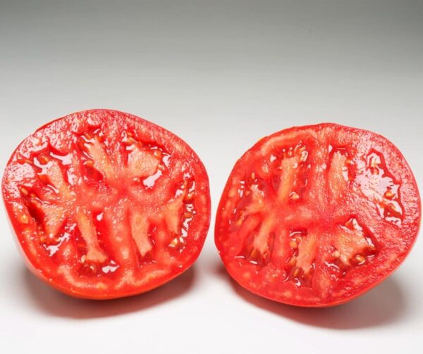 Tomato (Solanum lycopersicum) Jouvance F1 - Image 2