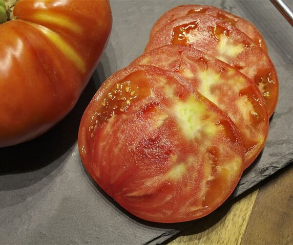 Tomato (Solanum lycopersicum) Knockout F1 - Afbeelding 2