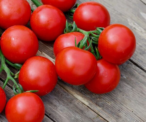 Памідор (Solanum lycopersicum) Mountain Magic PhR F1