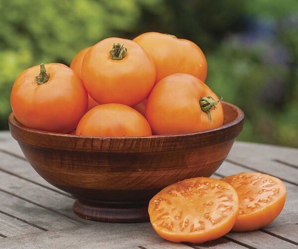 Tomato (Solanum lycopersicum) Orange Wellington F1 - Afbeelding 2