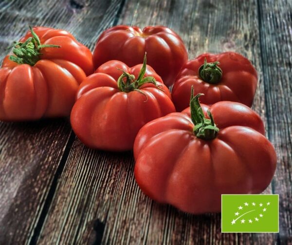 Tomato (Solanum lycopersicum) RAF BIO
