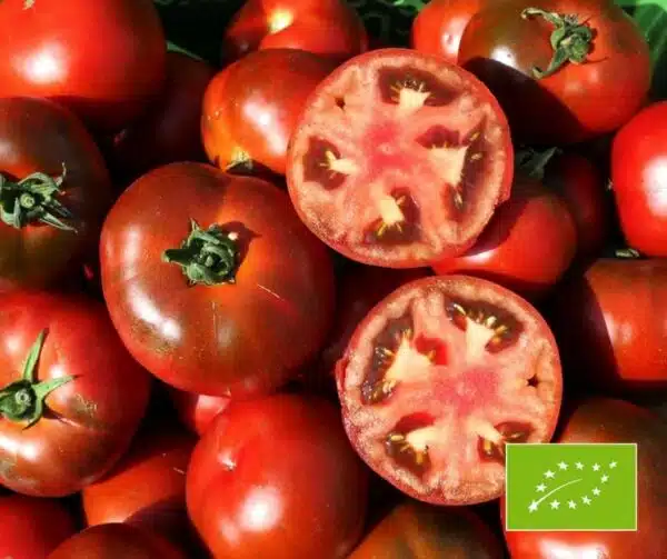 Tomato (Solanum lycopersicum) Rebella BIO