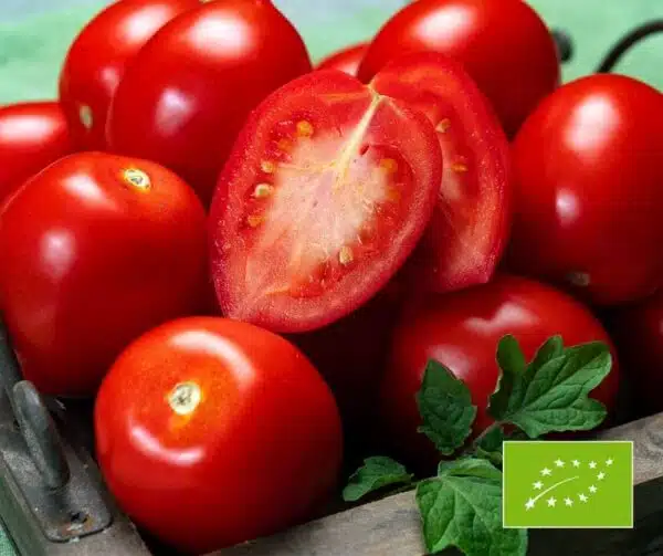 Tomato (Solanum lycopersicum) Rio Largo BIO