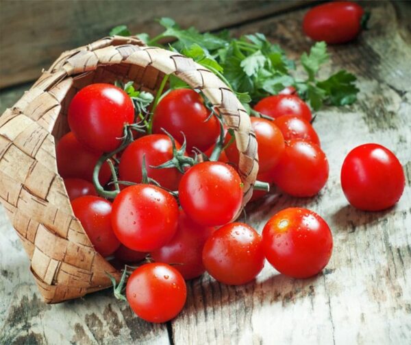 Tomato (Solanum lycopersicum) Rubinka