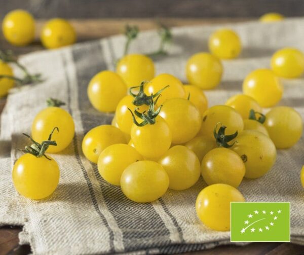 Tomato (Solanum lycopersicum) Snow Berry BIO
