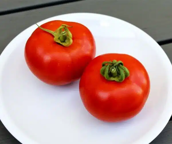 Памідор (Solanum lycopersicum) Тэрэза F1 - Выява 2