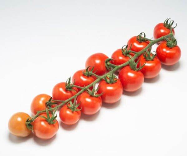 Tomate (Solanum lycopersicum) Timeax F1 - Bild 2