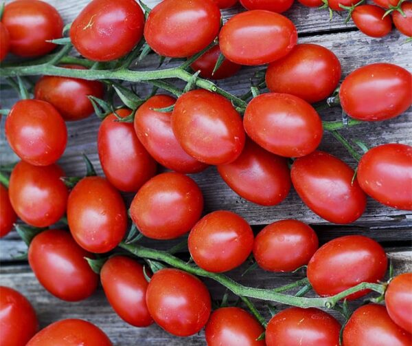 Tomate (Solanum lycopersicum) Tutti Frutti F1