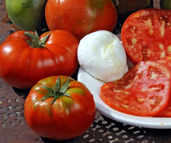 Pomodoro (Solanum lycopersicum) Virgilio F1