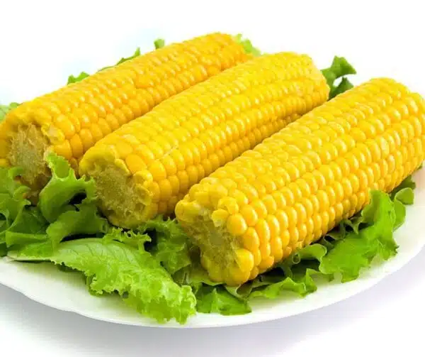 Zea mays (Sweet Corn) Tasty Sweet F1