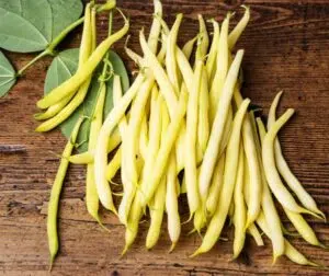 Phaseolus vulgaris (Grüne Bohne) Dior